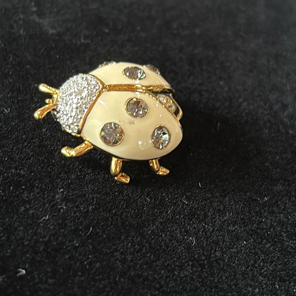 Joan Rivers beige rhinestone gold toned ladybug pin. Adorable!